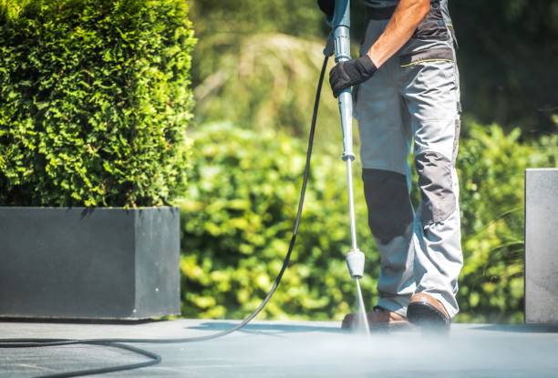 Best Driveway Pressure Washing  in Forest View, IL