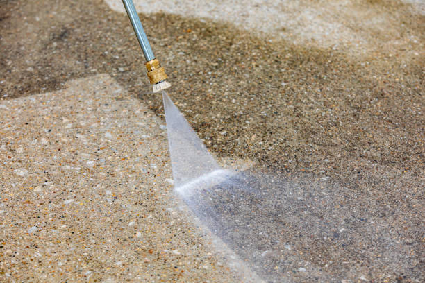 Best Patio and Deck Pressure Washing  in Forest View, IL